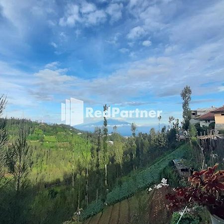 Bromo Indah Lestari Homestay Mitra Reddoorz パスルアン エクステリア 写真