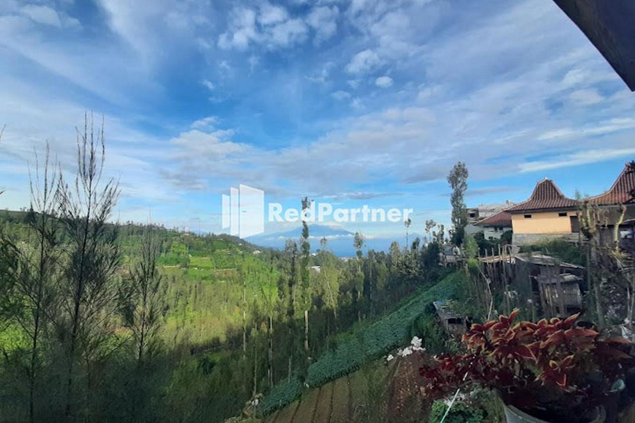 Bromo Indah Lestari Homestay Mitra Reddoorz パスルアン エクステリア 写真